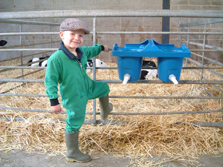Calf Feeder
